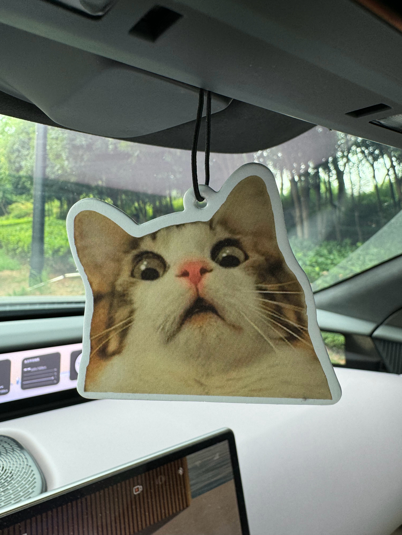 Perfume And Fragrance Are Same - Surprised Shocked Cat Meme Car Air