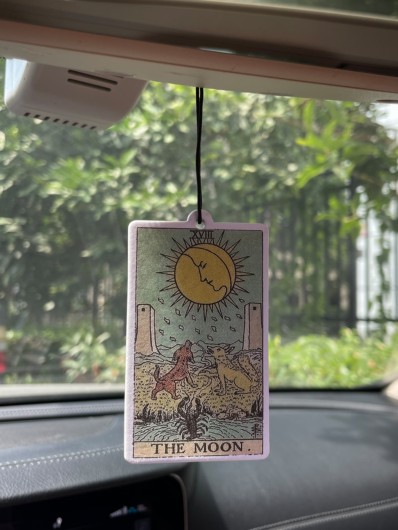 Perfume And Fragrance Are Same - Legend/Gulong Fresh Scent Five-Star Neutral Car