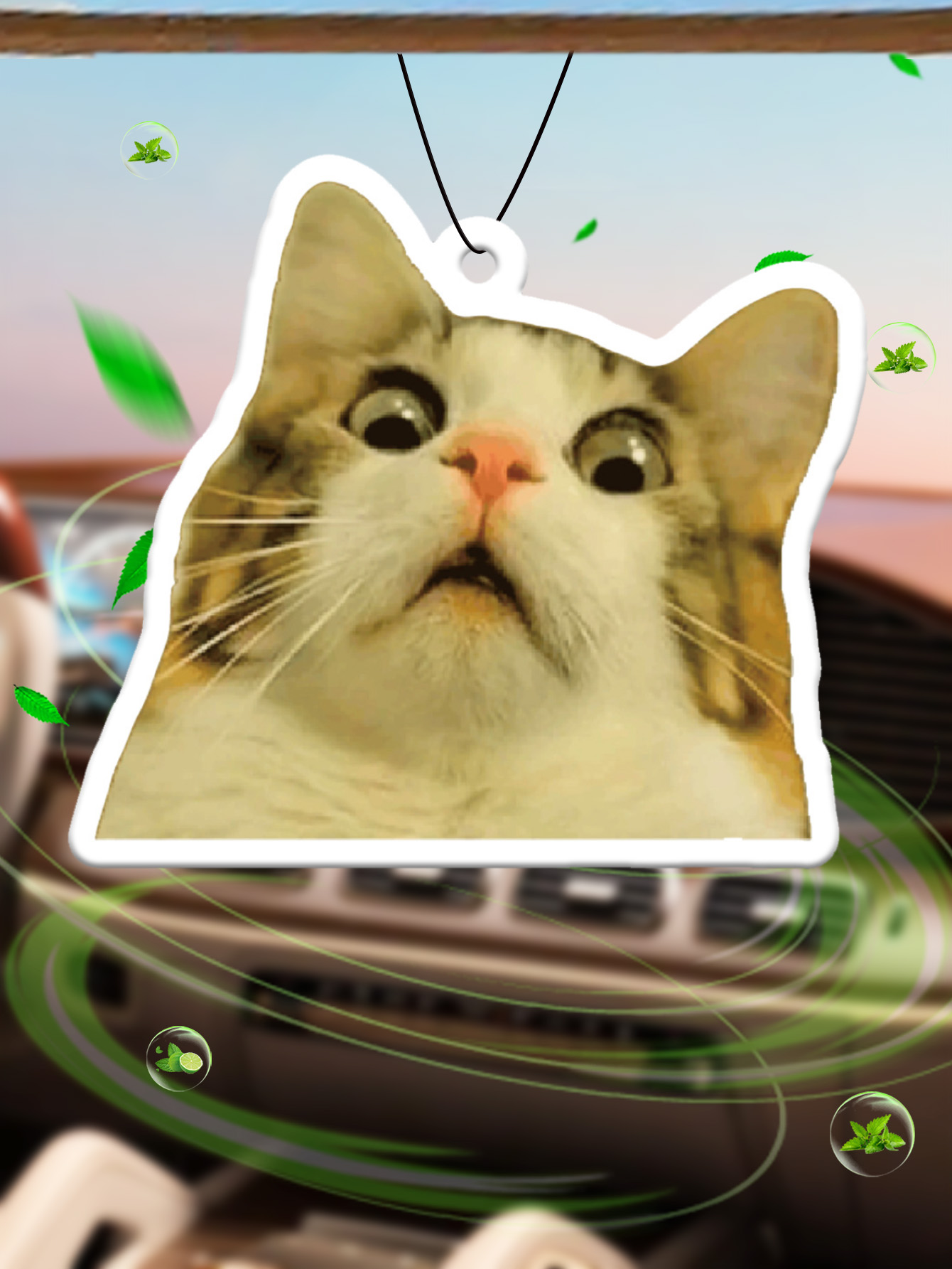 Surprised Shocked Cat Meme Car – Perfume And Fragrance Are Same Bewertung und Preis