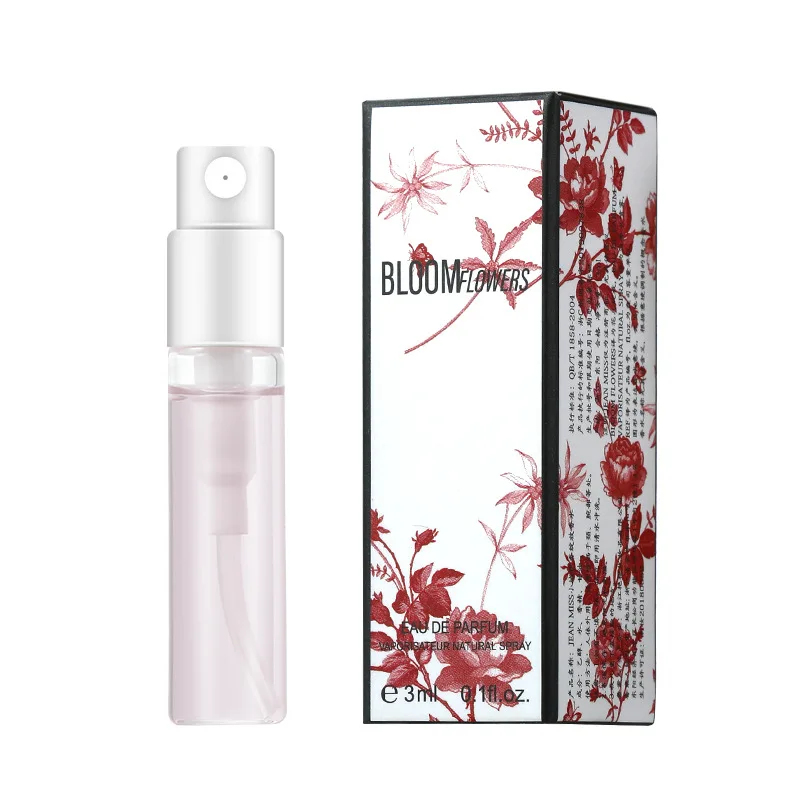 Portable 3ML Premium Perfume L – Perfume Fragrance Long Lasting Bewertung und Preis