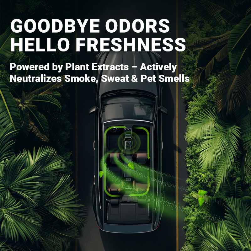 Car mounted fragrance car perf – Perfume Fragrance Levels Bewertung und Preis