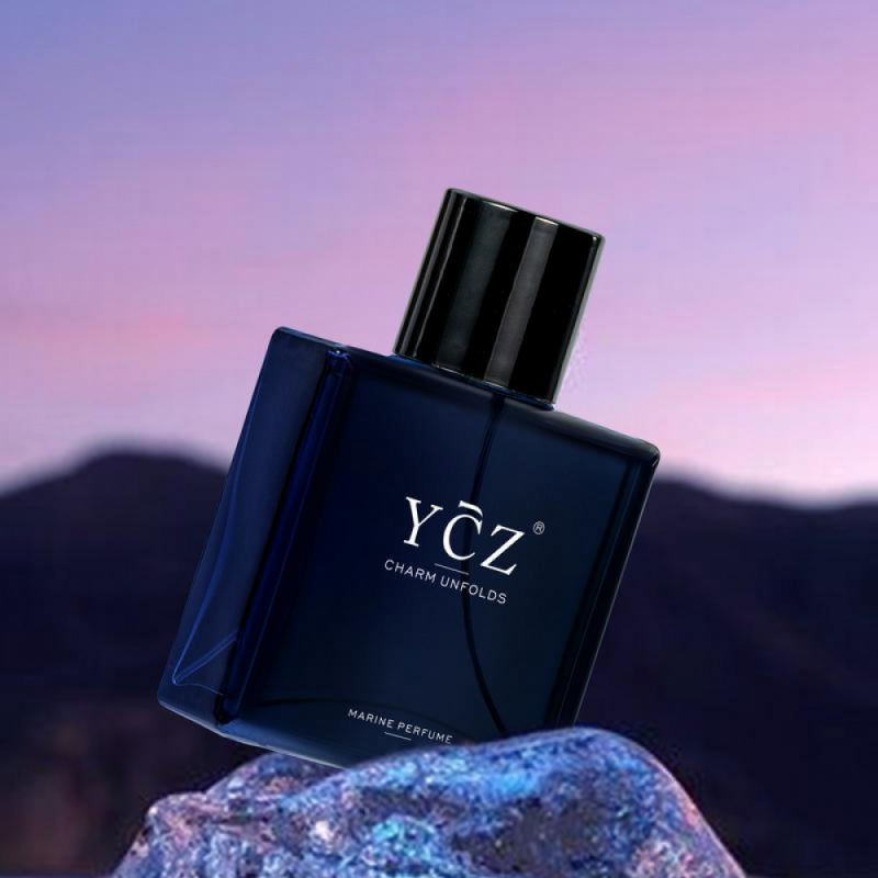 WeiLan Men Perfume 50ml Long L – Perfume Fragrance Perfume Bewertung und Preis